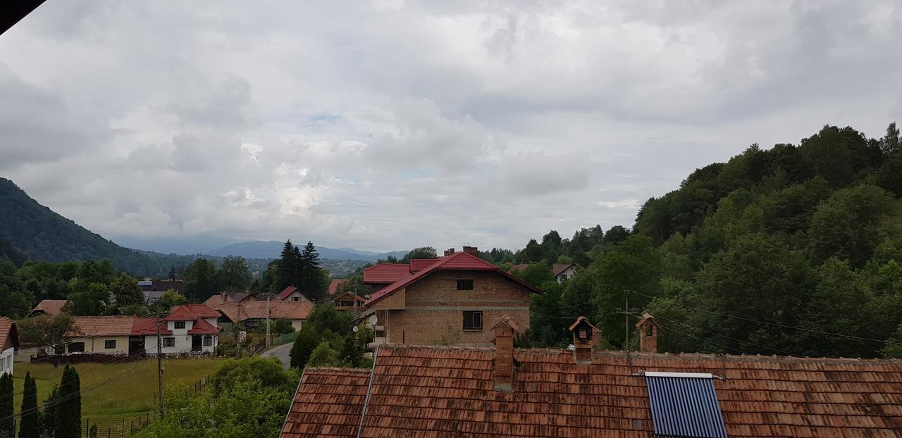 Pensiunea Casa Beatrice Bran Μπραν Εξωτερικό φωτογραφία