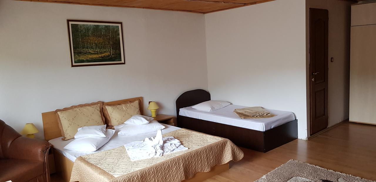 Pensiunea Casa Beatrice Bran Μπραν Εξωτερικό φωτογραφία